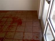 Showing ceramic tile cleaned in front of door.